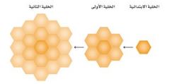 خلية النحل